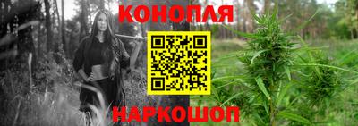 амф Кунгур