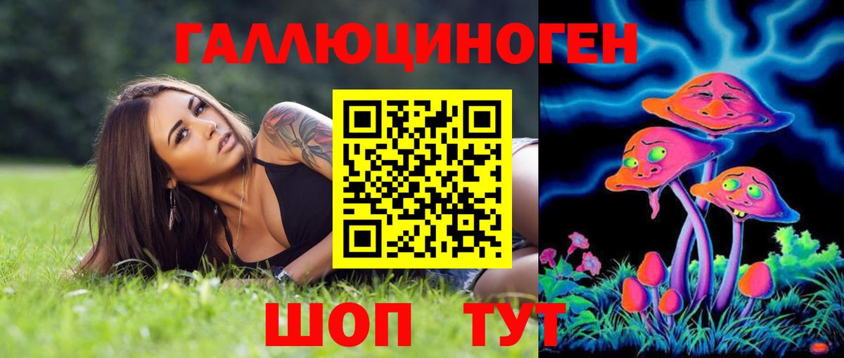 Псилоцибиновые грибы Psilocybe  Вход с VPN  Карталы 